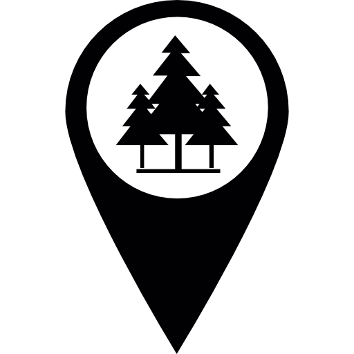 Icono